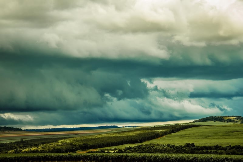 Temporal Explorations